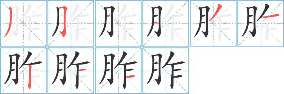 胙字笔顺的正确写法图