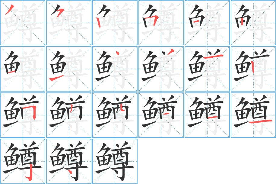 鳟字笔顺的正确写法图